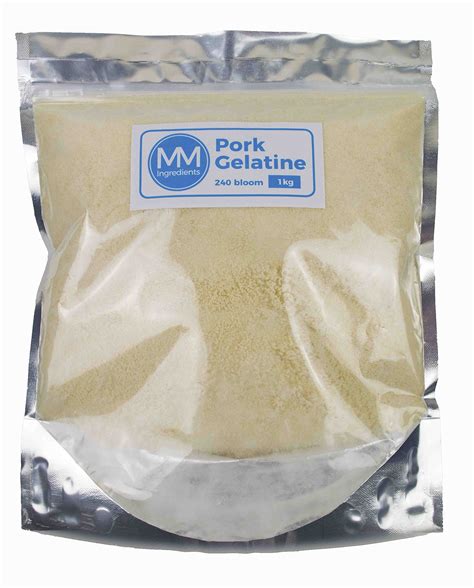 Pork Gelatine Powder 1kg 240 Bloom Professional Grade | Desertcart INDIA