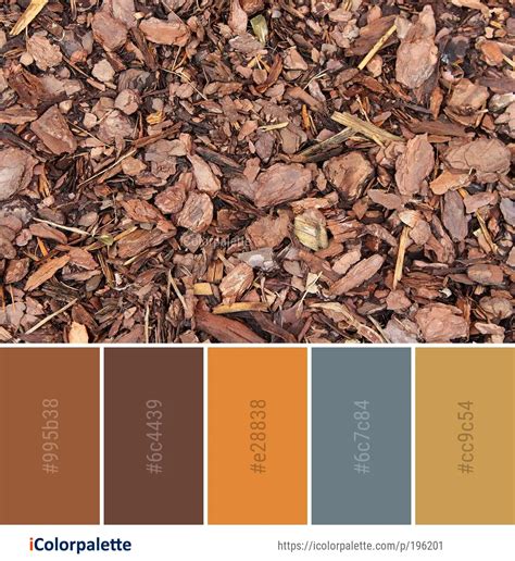 Image result for How to Color Mulch