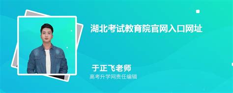 湖北省教育考试院官网高考成绩查询入口登录地址:http://www.hbea.edu.cn/