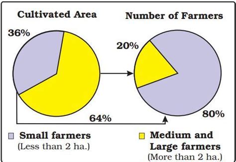 Explain land distribution between farmers of palampur . Also draw pie ...