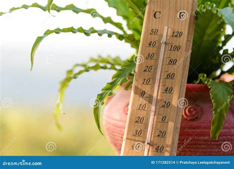 Outdoor Wood Thermometer Calibrated in Celsius and Fahrenheit Scale Showing 15 Degrees Celsius ... - 60 degrees fahrenheit to celsius
