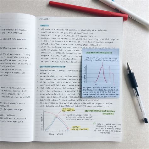 Image result for Create Mind Map