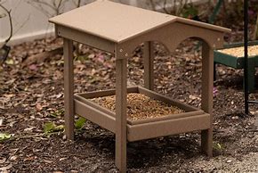 Image result for Ground Feeders for Birds