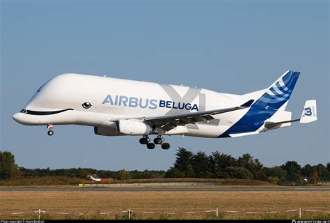 F-GXLI Airbus Transport International Airbus A330-743L Beluga XL Photo ...