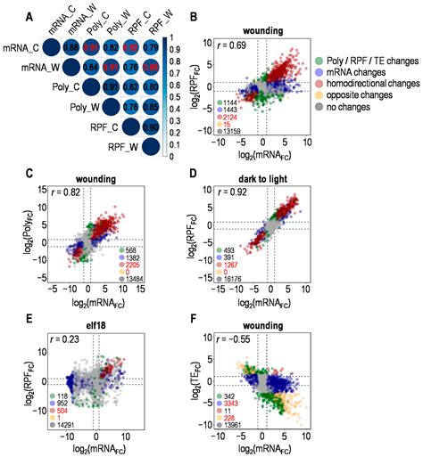 Preferential Ribosome Loading on the Stress-Upregulated mRNA Pool ...