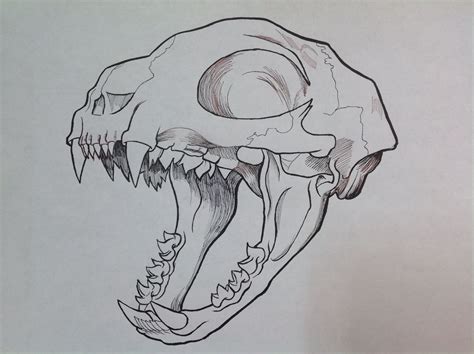 #sketch Cat Skull #ilustracion #craneo #huesos #creepy | Animal skull ...