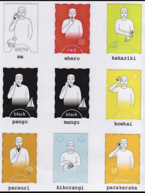 Maori Sign Language 的图像结果