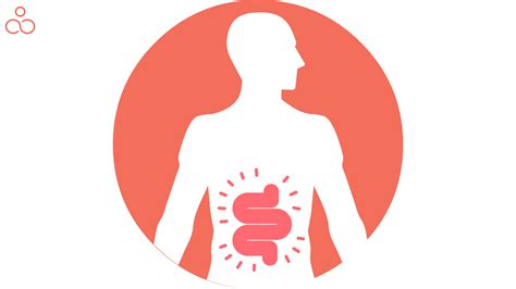 Image result for How Does Pooping Work