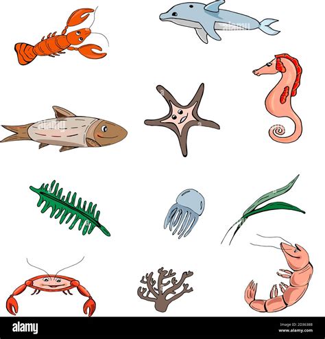 Real Sea Animal Drawing