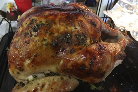 Turkey Cook 的图像结果