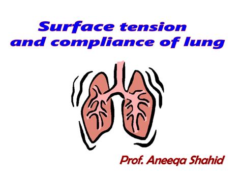 SOLUTION: Compliance of the lungs 1st yr - Studypool