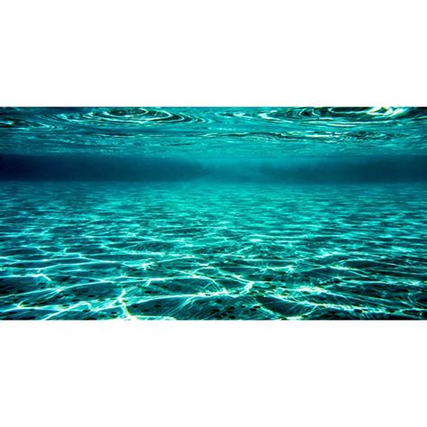 Image result for Fish Tank Texture