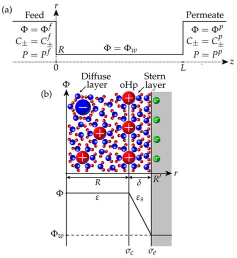 Modelling the Performance of Electrically Conductive Nanofiltration ...