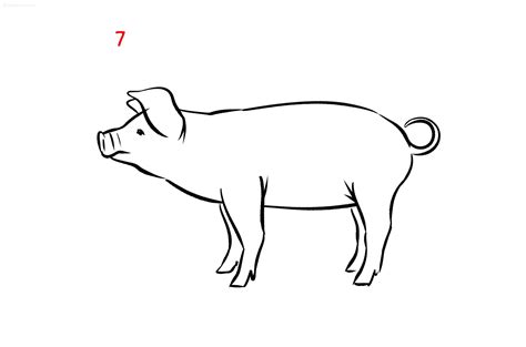 Pig Drawing Ideas How to draw a Pig Step by Step