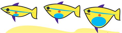 SATHEE: Chapter 01 The Fish Tale