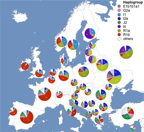 Y-DNA haplogroups in populations of Europe : r/europe