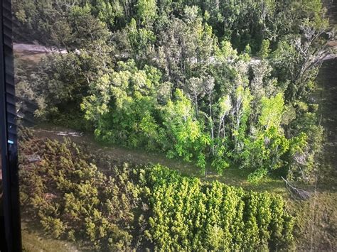 Madison Rue Onlyfans