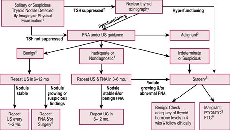 Endocrine Disorders and Tumors - Clinical Tree