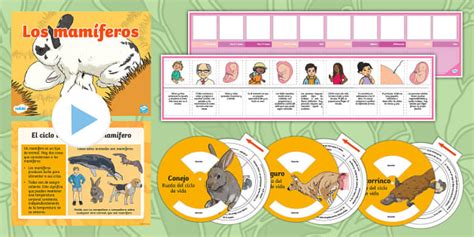 Presentación y fichas de actividad: Los mamíferos - Twinkl