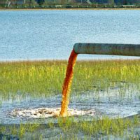 School Project - Water Pollution