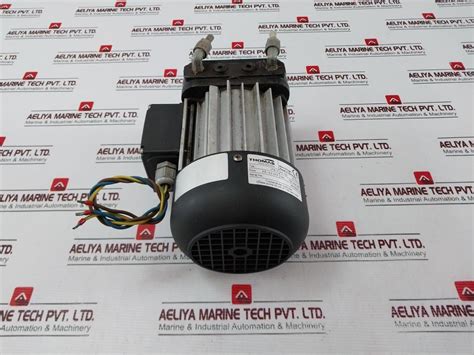 Thomas Picolino Vte 3 Rotary Vane Pump 25130110 – Aeliya Marine Tech