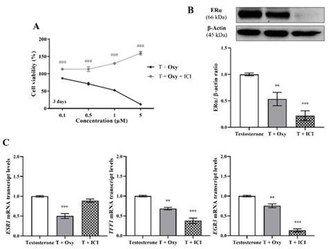 An Exemestane Derivative, Oxymestane-D1, as a New Multi-Target ...
