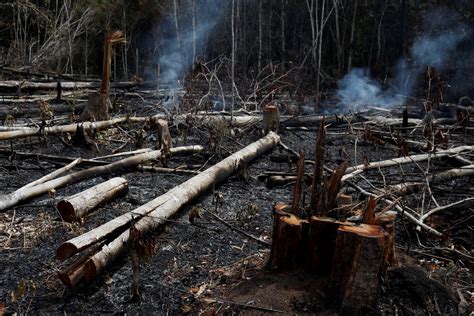亚马逊森林大火已持续燃烧16天_地区