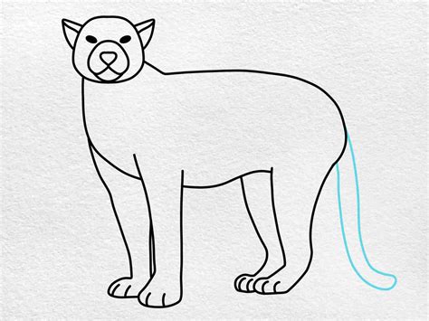 Black Jaguar Drawing