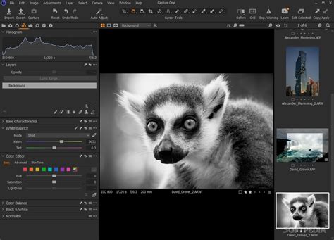 Image result for Capture One Pro Download