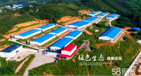 农牧业 - 博阳 - 新能源 - 上海博阳新能源科技股份有限公司