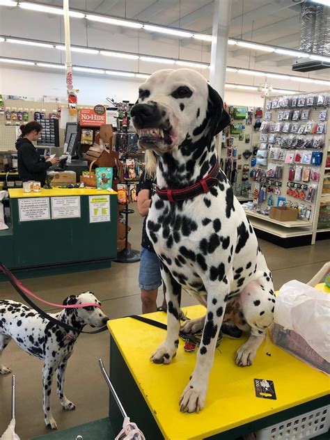 SOUTHERN AGRICULTURE - Tulsa OK - Hours, Directions, Reviews - Loc8NearMe