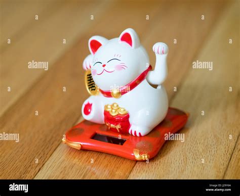 Chinese Lucky Cat Back