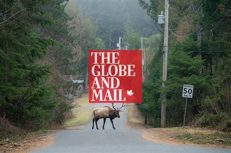 What the life and death of Bob the elk can teach us — Ryan Tidman