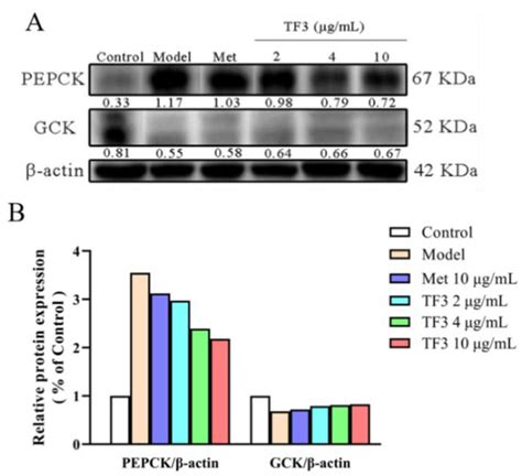 Nutrients | Special Issue : Medicine and Food Homologous Plants and ...