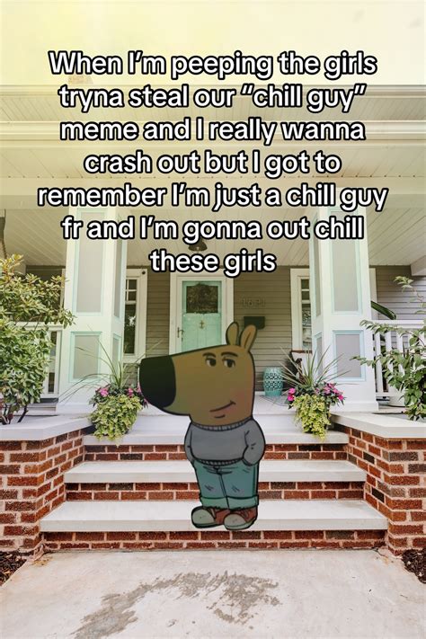 35 Of The Funniest I'm Just A Chill Guy Memes