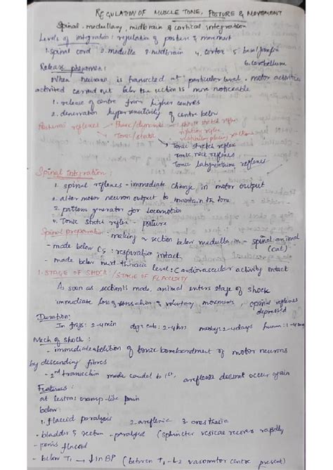 Regulation of muscle tone,posture and movement - Physiology - Studocu