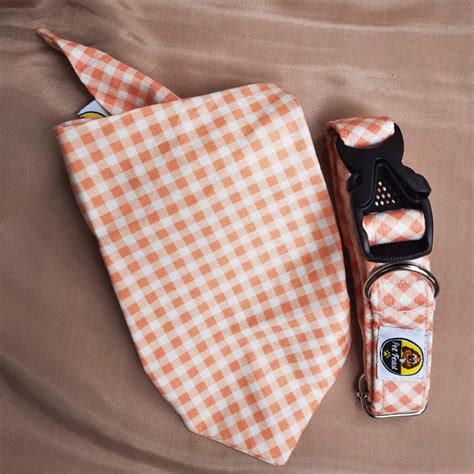 Peach Checkered Collar & Bandana Set — PetFeast