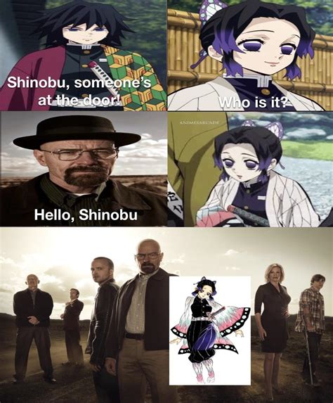 My nickname for Shinobu is Walter White : DemonSlayerAnime - nicknames for walter