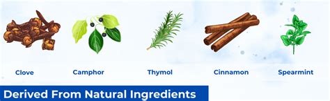 Buy SENSORA Herbal Sensitivity Relief Toothpaste with Rapid Relief ...