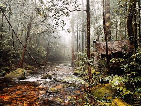 Khao Banthat Wildlife Sanctuary, Phatthalung: Scenic Jungle Trails ...