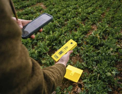 Rapsschädlinge im Blick: Digitale Gelbschale sendet Fotos an Landwirte ...