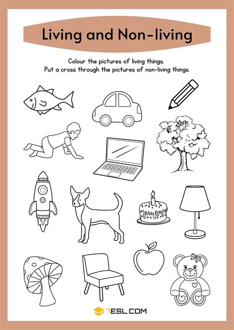 Living and Nonliving Things Worksheets for Kids • 7ESL