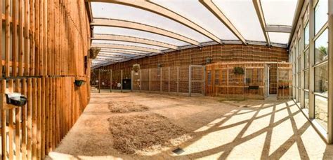 ZooLex Image - Communal stable and separation stalls