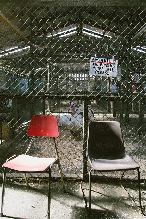 Image result for Yoder Poultry Auction