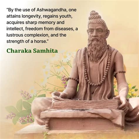 Ayurvedic Medicine for Stress Relief & Immunity Boost – Dharishah Ayurveda