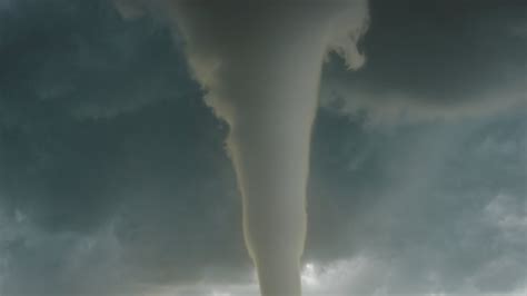 Article Usage Examples 的图像结果