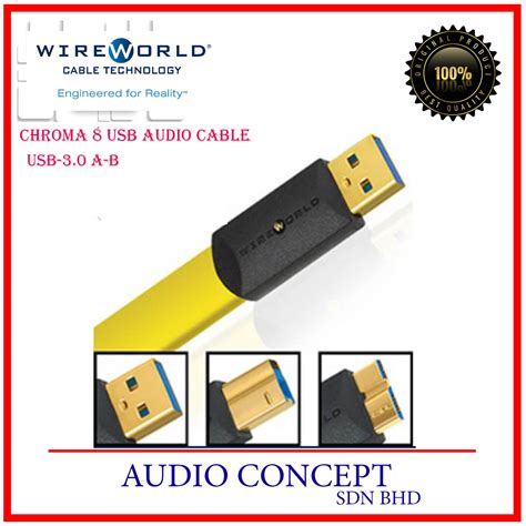 Image result for Wireworld USB Audio Cable