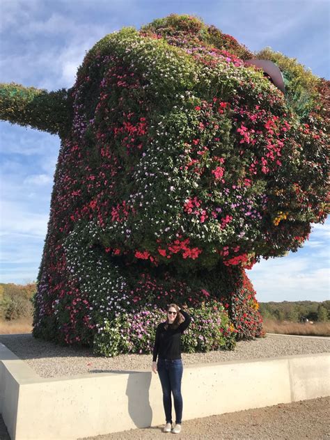 Today we’re celebrating 9 incredible years with Jessica Gibbs, CFP®, Vice President & Partner at ...