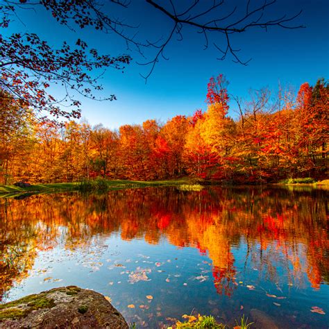 'NCIS: Sydney' Season 2 - Release Date, Cast, Episodes - Parade