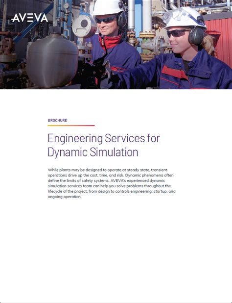 Dynamic Simulation Software 的图像结果